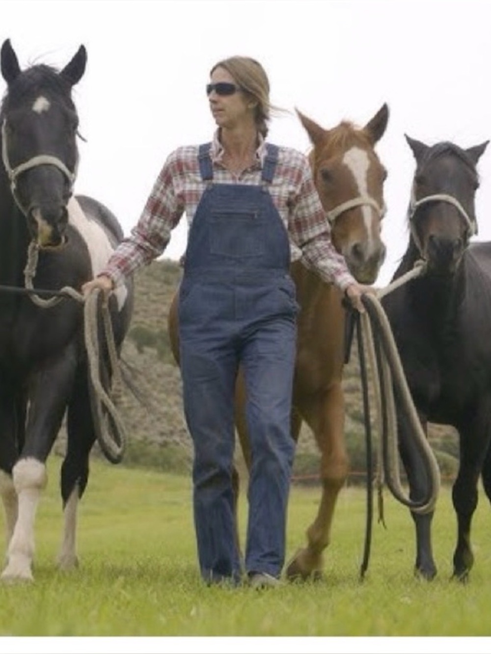 Patagonia Steel Forge Denim Overalls